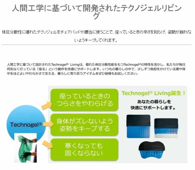 Technogel Living Lumbar Support 2 テクノジェル リビング ランバー ...