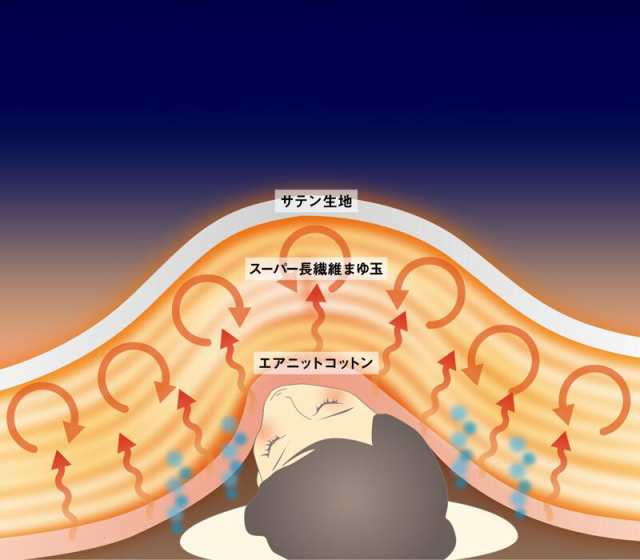 殿様ふとん 掛け布団 D(ダブル)