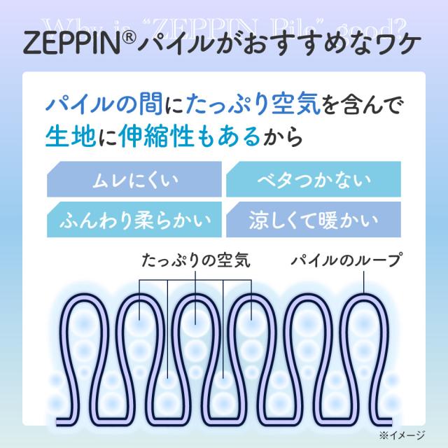 ZEPPIN パイル 肌掛け布団 SD(セミダブル) ラベンダーの通販は ZEPPIN パイル 肌掛け布団 SD(セミダブル) ラベンダーの通販は