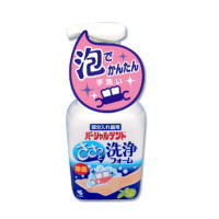 【２０個セット】 小林製薬 パーシャルデント 洗浄フォーム ミントの香り(250mL) ×２０個セット