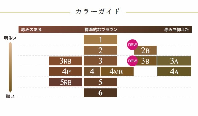 ５個セット】 ダリヤ サロンドプロ 泡のヘアカラー・エクストラリッチ 3B 白髪用 ベージュブラウン(1セット)×５個セット の通販はau PAY  マーケット - ソレイユ☆スマホ決済などOK | au PAY マーケット－通販サイト