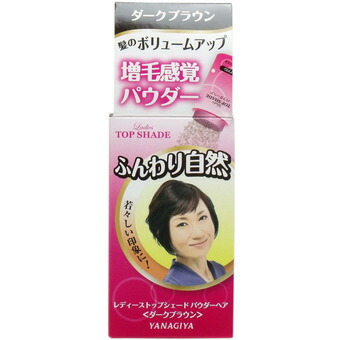 【１０個セット】 レディーストップシェード パウダーヘア ダークブラウン 20g×１０個セット