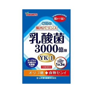 【２０個セット】【１ケース分】毎日の腸内バランス 乳酸菌粒 90粒×20個セット　１ケース分　　※軽減税率対応品【t-15】の通販は 17,431円