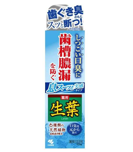 【１０個セット】小林製薬 薬用生葉I 息スーッと実感(100g)×１０個セット