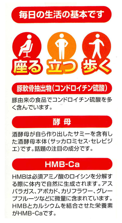 【３個セット】【即納！】【送料無料】新 コンドロイチンEX粒　３００粒 　×３個セット ※軽減税率対象品　６０日分_2