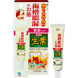 【第3類医薬品】【１０個セット】 生葉 口内塗薬20g×１０個セット【t-12】の通販は