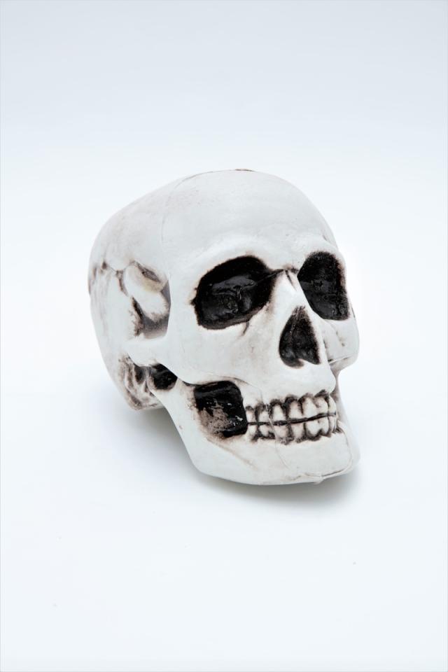 頭蓋骨模型 ガイコツ 置き物 小物入れ 楽天市場】ガラ空き ドクロ 小物