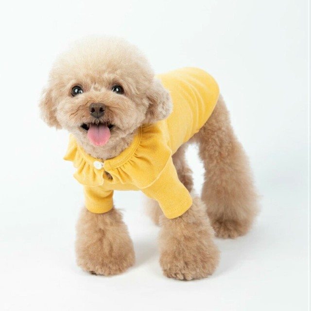 WC003 犬服 ベスト Ｔシャツ タンクトップ インナー 犬 服 tシャツ フリル 無地 伸縮 つなぎ 部屋着 パジャマ 小型犬 中型犬 ネコ  猫服｜au PAY マーケット