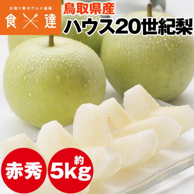 20世紀梨 二十世紀梨 鳥取県産 梨 5kg ハウス栽培 赤秀 和梨 産直 常温便 同梱不可 指定日不可