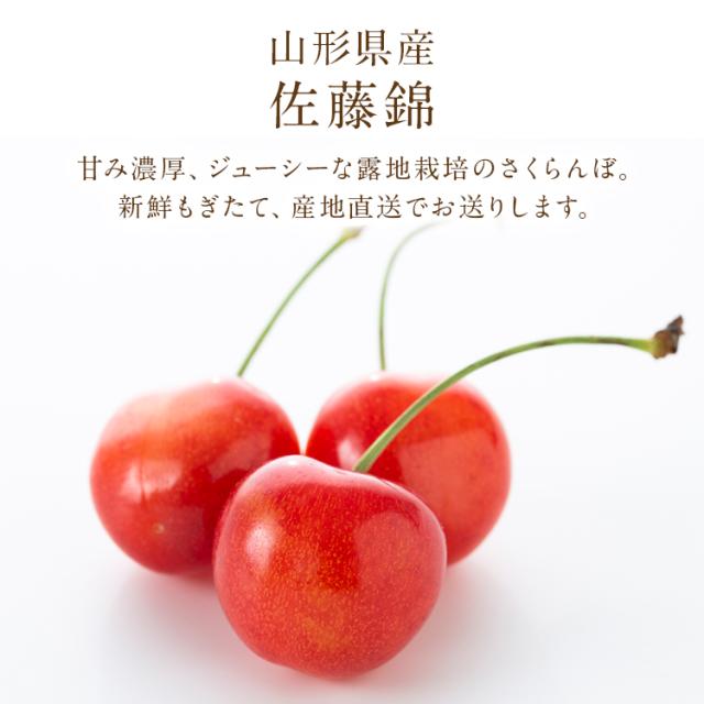 さくらんぼ 500g L玉 佐藤錦 手詰め 高級 贈答用 山形県産 化粧箱 露地栽培 ギフト サクランボ 冷蔵便 同梱不可 指定日不可 産直_3