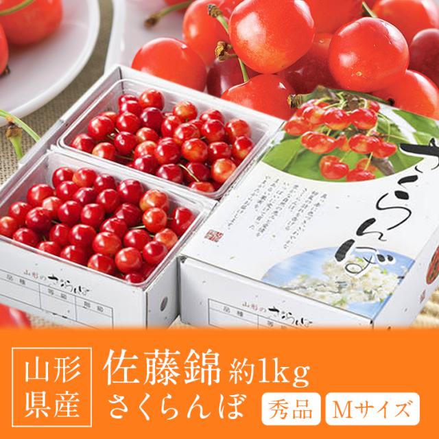さくらんぼ 1kg 佐藤錦 山形県産 秀品 Mサイズ 露地栽培 ギフト 贈り物 贈答 サクランボ 冷蔵便 同梱不可 指定日不可 産直_1