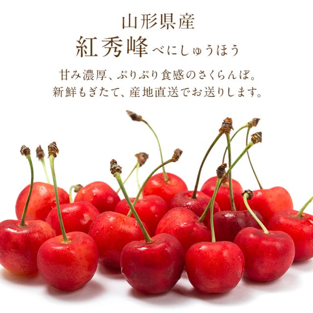 さくらんぼ 1kg 紅秀峰 山形県産 秀品 Lサイズ以上 べにしゅうほう ギフト 贈り物 贈答 サクランボ 冷蔵便 同梱不可 指定日不可 産直_3