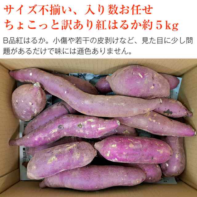 サツマイモ 茨城県産 紅はるか 箱含む5キロ - 野菜