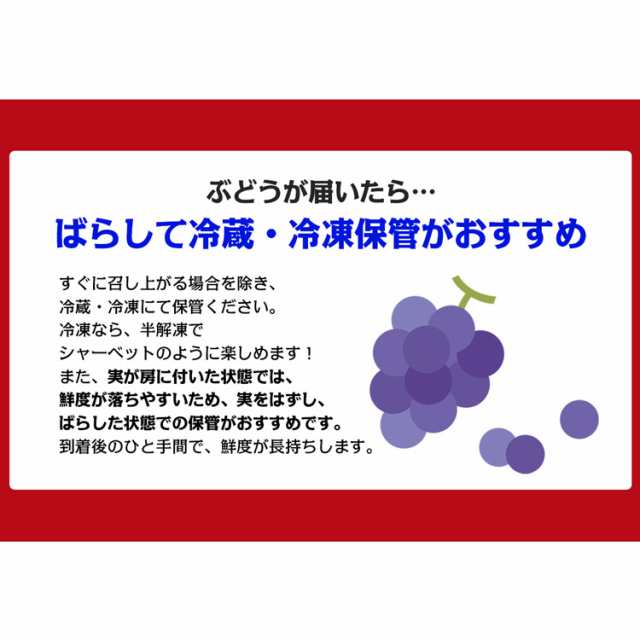 シャインマスカット 約1kg 2房 秀 ぶどう 産地厳選 贈答用 ブドウ 白ぶどう 葡萄 種無し 露地栽培 冷蔵便 同梱不可 指定日不可の通販はau  PAY マーケット - 食の達人お取り寄せグルメ