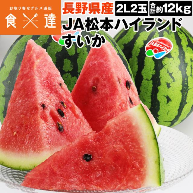 すいか 2玉 12kg (1玉約6kg) 2L JA松本ハイランドすいか B等級以上 長野県産 スイカ 西瓜 常温便 同梱不可 指定日不可