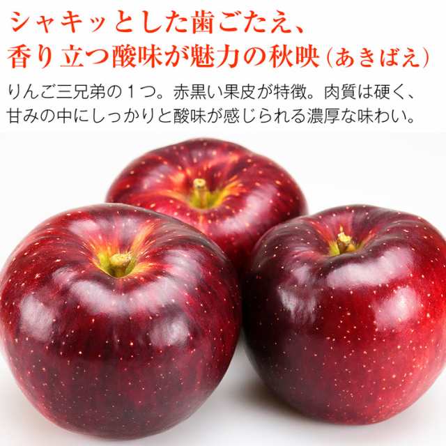 りんご 10kg 秋映 あきばえ 長野県産 特秀 32〜40玉 ギフト りんご 三兄弟 リンゴ 林檎 冷蔵便 同梱不可 指定日不可