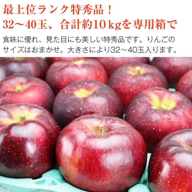 りんご 10kg 秋映 あきばえ 長野県産 特秀 32〜40玉 ギフト りんご 三
