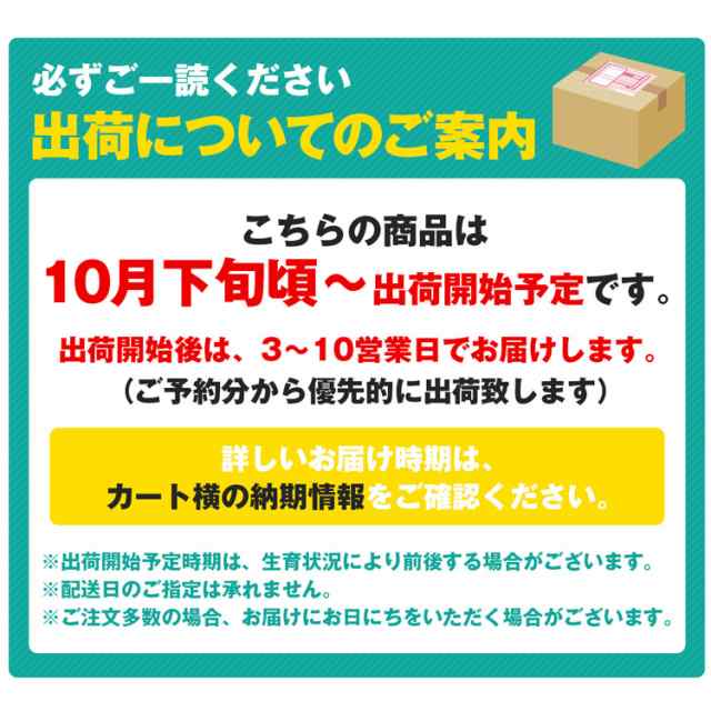 りんご 5kg ジョナゴールド 秀 岩手県産 16～20玉 ギフト 贈答 りんご リンゴ 林檎 常温便 同梱不可 指定日不可の通販はau PAY  マーケット - 食の達人お取り寄せグルメ