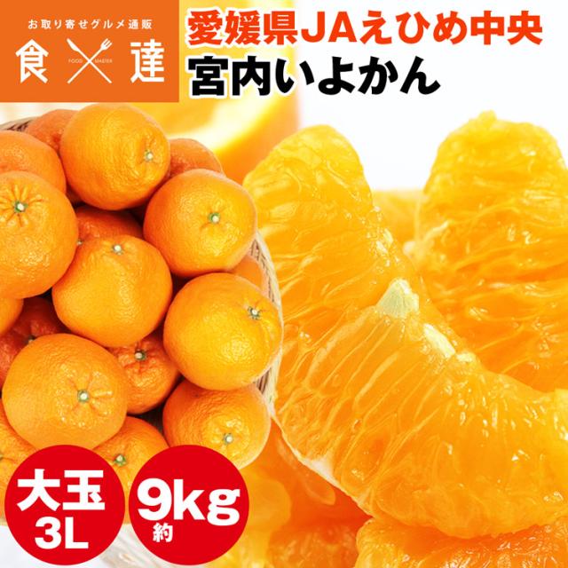 伊予柑 宮内いよかん 9kg 大玉 3Lサイズ 28〜30玉程度 愛媛県産 JAえひめ中央 みかん 常温便 同梱不可 指定日不可の通販は 6,680円