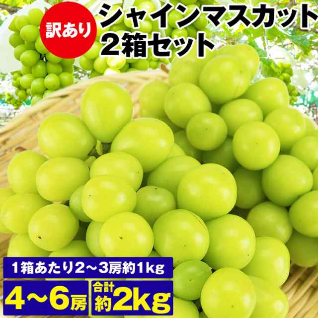 シャインマスカット 訳あり 2箱 4〜6房 2kg (1箱あたり 2〜3房 1kg) ご家庭用 ぶどう 贈答用 冷蔵便 同梱不可  指定日不可の通販はau PAY マーケット - 食の達人お取り寄せグルメ | au PAY マーケット－通販サイト