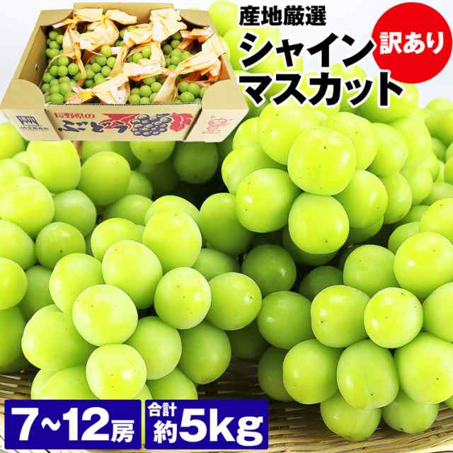 訳あり シャインマスカット 約5kg 7〜12房 ご家庭用 お徳用 お買い得 ぶどう ブドウ 種無し 冷蔵便 同梱不可 指定日不可