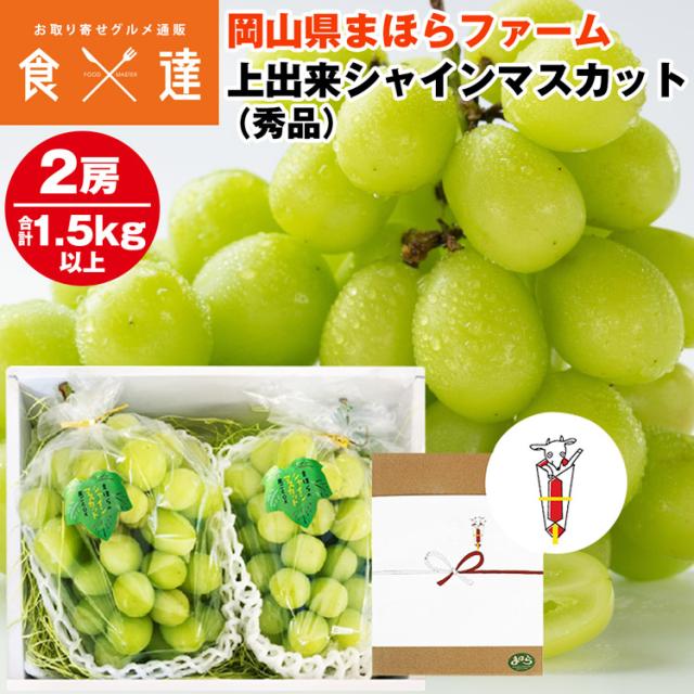 シャインマスカット 1.5kg以上 (750g以上×2房) 岡山県産 秀品 糖度