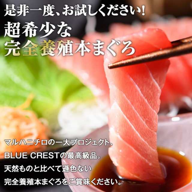 冷凍便　食の達人お取り寄せグルメ　産直　PAY　マーケット－通販サイト　3サク約500g　au　CREST　PAY　本マグロ　マーケット　産地直送　マルハニチロ　産　セット　赤身　同梱不可の通販はau　鮪　クロマグロ　中トロ　完全養殖　本まぐろ　BLUE