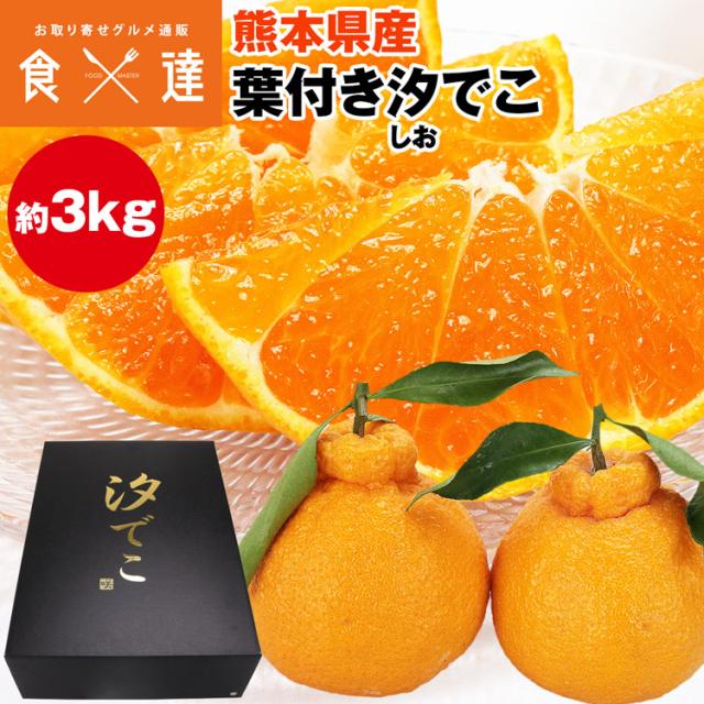 汐でこ 葉付き みかん 3kg 熊本県産 化粧箱 不知火 肥の豊 など 蜜柑 ミカン 常温便 同梱不可 指定日不可 産直 6,052円