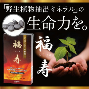 【元気ミネラル酵素 福寿(ふくじゅ)（120粒入）】【送料無料】 レスベラトロール サプリメント  アガリクス茸 サプリ アルカリ化食 アルカリ体質 ミネラル研究家 中山栄基 開発 植物抽出ミネラル 植物マグマ 配合 サーチュイン 白髪 体をアルカリ性にする食事