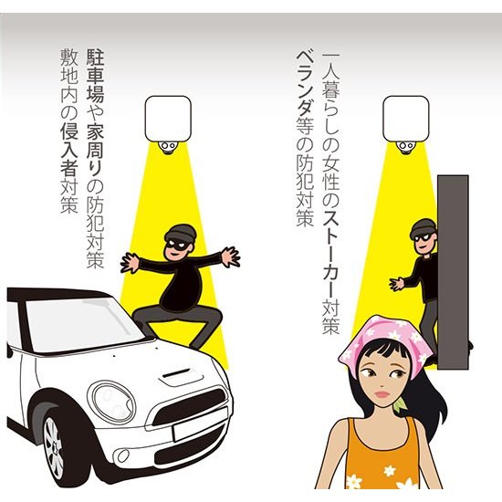 在庫限り｜センサーライト 監視カメラ 屋外 ワイヤレス 配線不要 送料無料 【REVEX カメラに見えないセンサーライトカメラ】【送料無料】リーベックス SDカード録画式 人感センサー録画 夜間撮影可能 電池式 mam