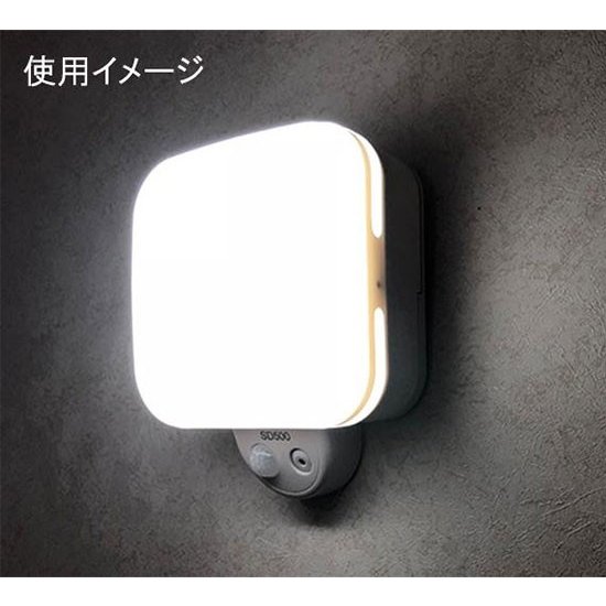 在庫限り｜センサーライト 監視カメラ 屋外 ワイヤレス 配線不要 送料無料 【REVEX カメラに見えないセンサーライトカメラ】【送料無料】リーベックス SDカード録画式 人感センサー録画 夜間撮影可能 電池式 mam