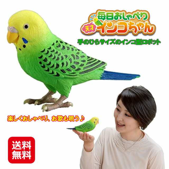 介護 癒し ロボット インコ しゃべる 歌う ぬいぐるみ 送料無料 【毎日