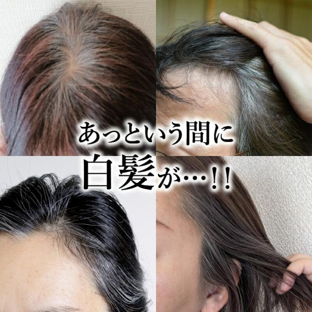 クイックヤングヘアカラー】 白髪 白髪隠し 生え際 部分染め 毛