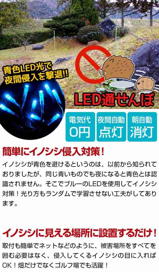 いのしし 猪 猪よけ イノシシ 対策 害獣 撃退 LED 青色 送料無料 【魔法の光 LED通せんぼBIG 】【送料無料】 イノシシを青色LEDの光で威の通販はau  PAY マーケット ジャパンネットライフ au PAY マーケット店 au PAY マーケット－通販サイト