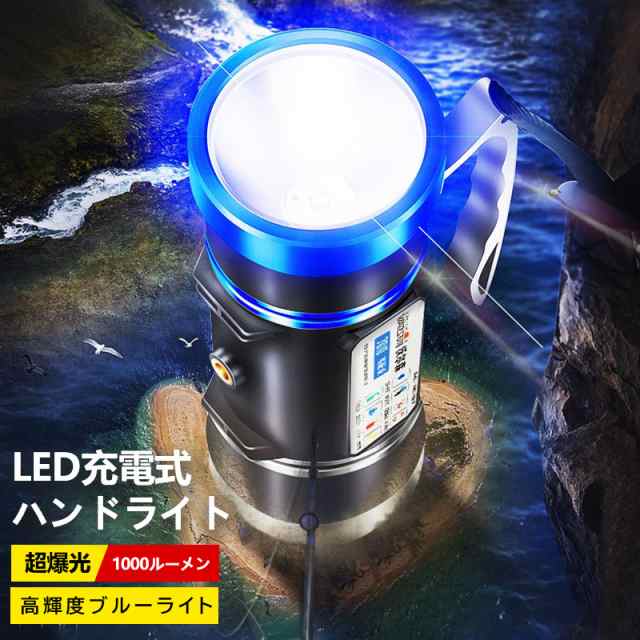 集魚灯 LED ブルー - その他