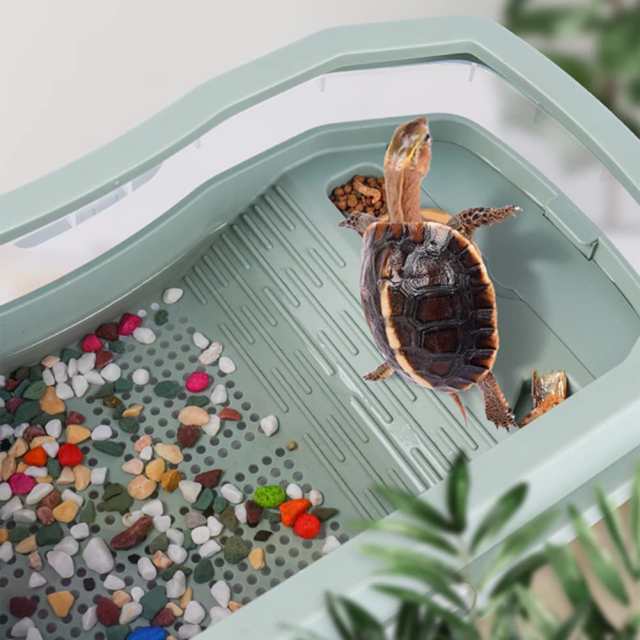 全店販売中 亀の水槽 亀ケージ カメ 飼育ケース 大きい ボックス カメ槽 滑り止め 休憩プラットフォーム 脱出防止 爬虫類 両生類用 亀の楽園  水族館 両生類用品 亀