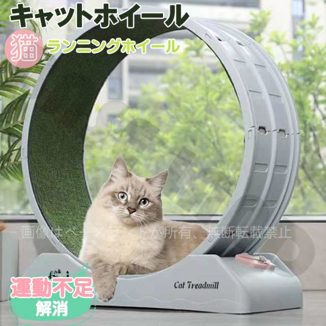 クーポン対象】キャットホイール 猫のおもちゃ ランニングホイール ...