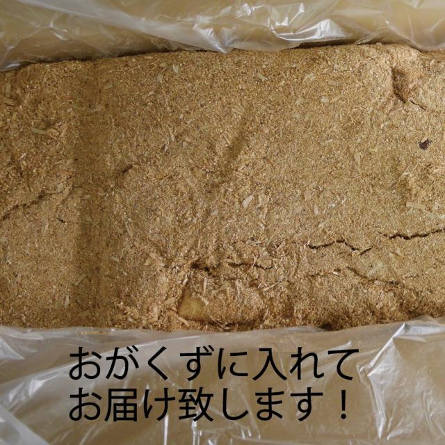 数量限定セール！青森県産　長芋　家庭用　M-４L　１０ｋｇ　洗浄済み　おがくず入り 全国送料無料！_1
