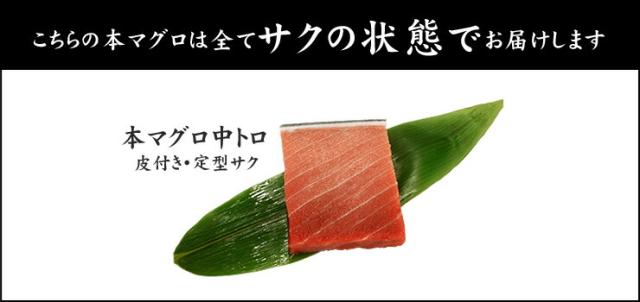 本マグロ極上中トロ300g 脂の甘みと濃厚赤身が見事なバランス 送料無料