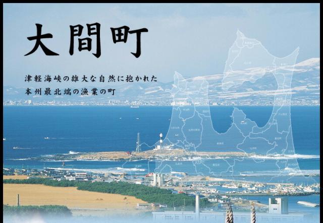 大間のマグロ大トロ中トロセット300g！お刺身カット済み 送料無料〈om1〉[[大間産本鮪_大トロ中トロセット]_7