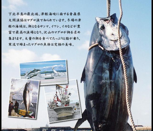 大間のマグロ大トロ中トロセット300g！お刺身カット済み 送料無料〈om1〉[[大間産本鮪_大トロ中トロセット]_8