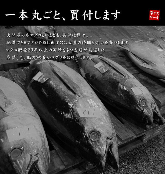 大間のマグロ大トロ中トロセット300g！お刺身カット済み 送料無料〈om1〉[[大間産本鮪_大トロ中トロセット]_4