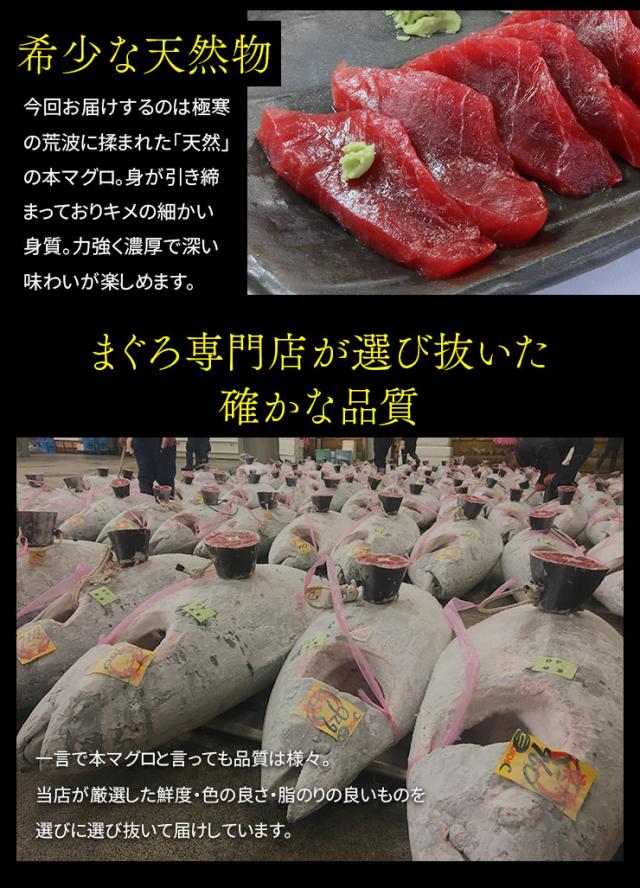 天然本マグロ切り落とし800g(80g×10パック) お刺身用 小分けパック 送料無料 [[天然本マグロ切り落とし80g-10p]_5