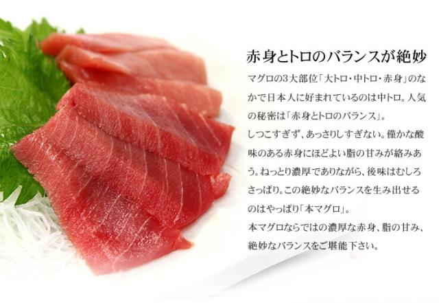 本マグロ極上中トロ300g 脂の甘みと濃厚赤身が見事なバランス 送料無料
