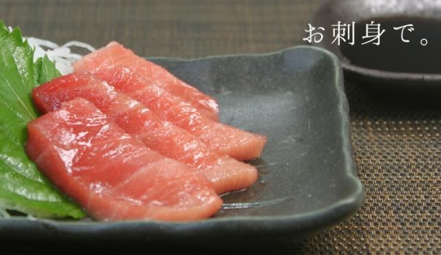 本マグロ極上中トロ300g 脂の甘みと濃厚赤身が見事なバランス 送料無料