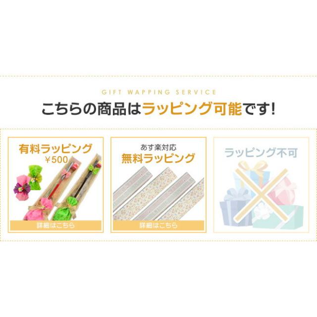 モールス解読器 AS-CW1ar ASAPSYSTEM アサップシステム ASCW1ar AS-CW1ar
