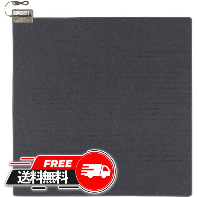 【送料無料】パナソニック 着せ替えカーペット用ヒーター 2畳相当 DC-2HA(1枚入) 家電 新品 対象 おしゃれ おすすめ ランキング 人気 誕生日プレゼント セール sale