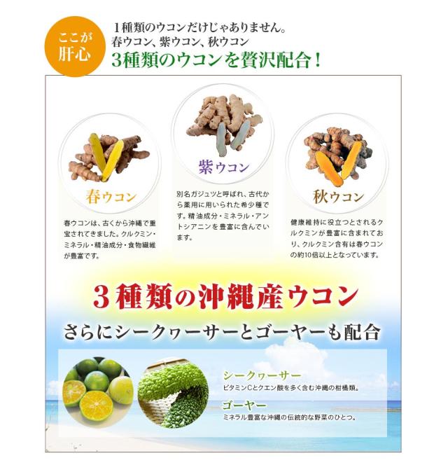 沖縄産 トリプルウコン EX プラスα 4本セット （1本1000粒約2カ月分） サプリ ウコン 春ウコン 紫ウコン 秋ウコン シークヮーサー ゴーヤ クルクミン ポリフェノール 米ぬか 長命草 健康 お酒 対策 予防 栄養 補給 沖縄産 日本直販 サプリメント 日本製 日本直販オリジナル_4