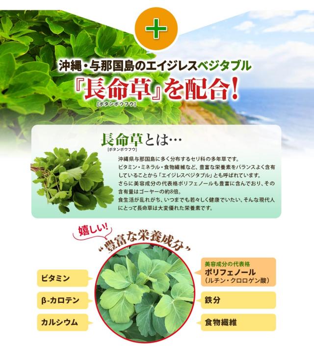 沖縄産 トリプルウコン EX プラスα 4本セット （1本1000粒約2カ月分） サプリ ウコン 春ウコン 紫ウコン 秋ウコン シークヮーサー ゴーヤ クルクミン ポリフェノール 米ぬか 長命草 健康 お酒 対策 予防 栄養 補給 沖縄産 日本直販 サプリメント 日本製 日本直販オリジナル_5