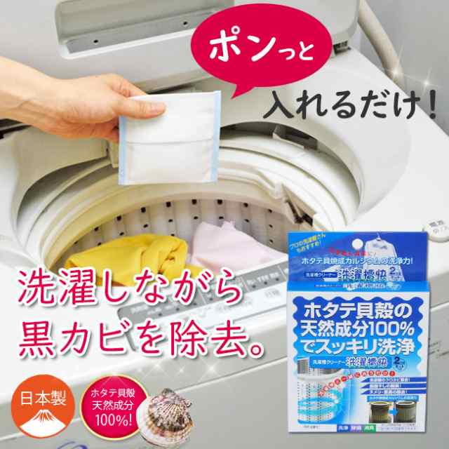 洗濯槽快30ｇ×10個セット ネット付き 送料無料 洗濯槽クリーナー 除菌